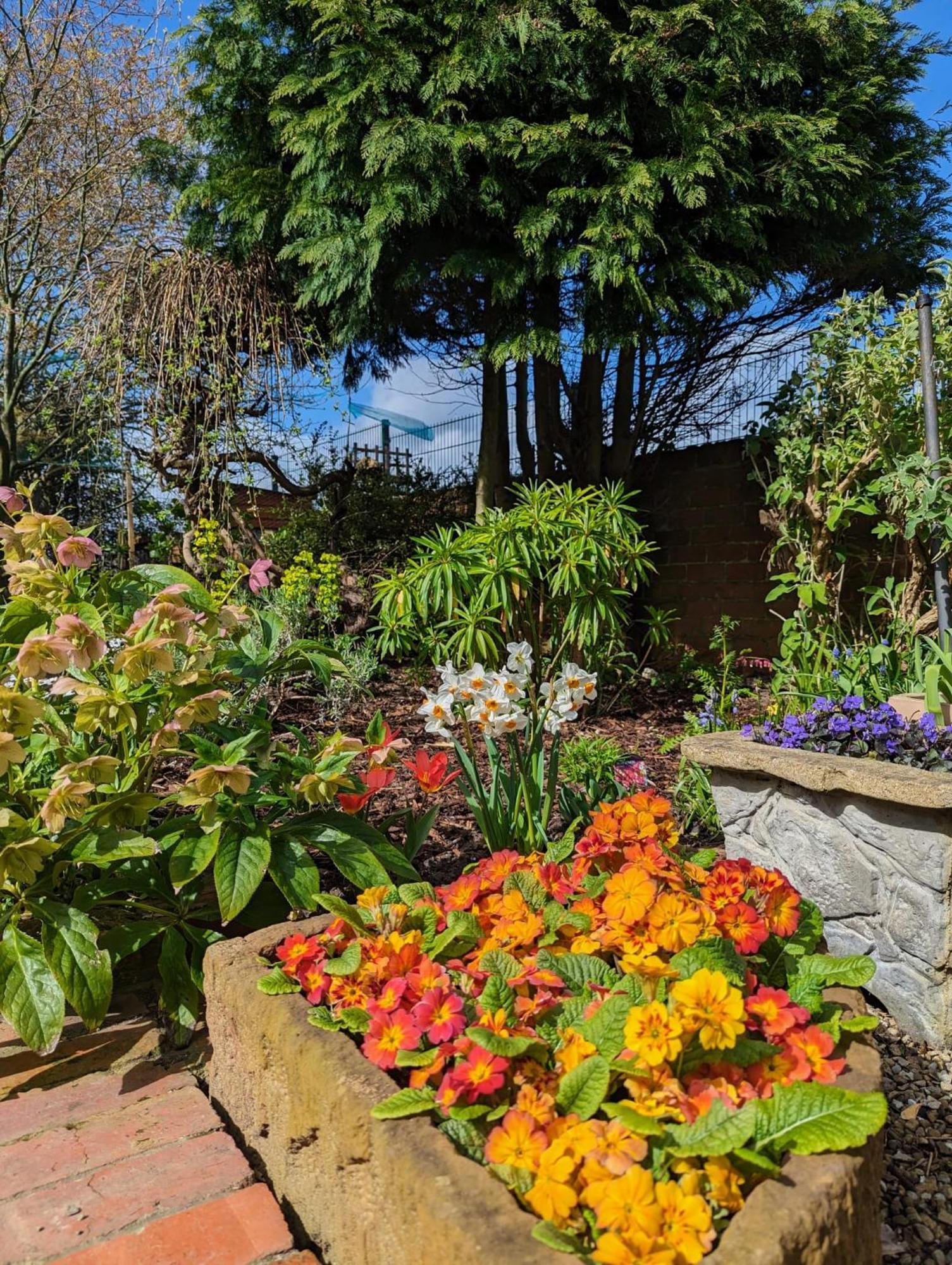 Number 18 Bed & Breakfast Whitby Luaran gambar