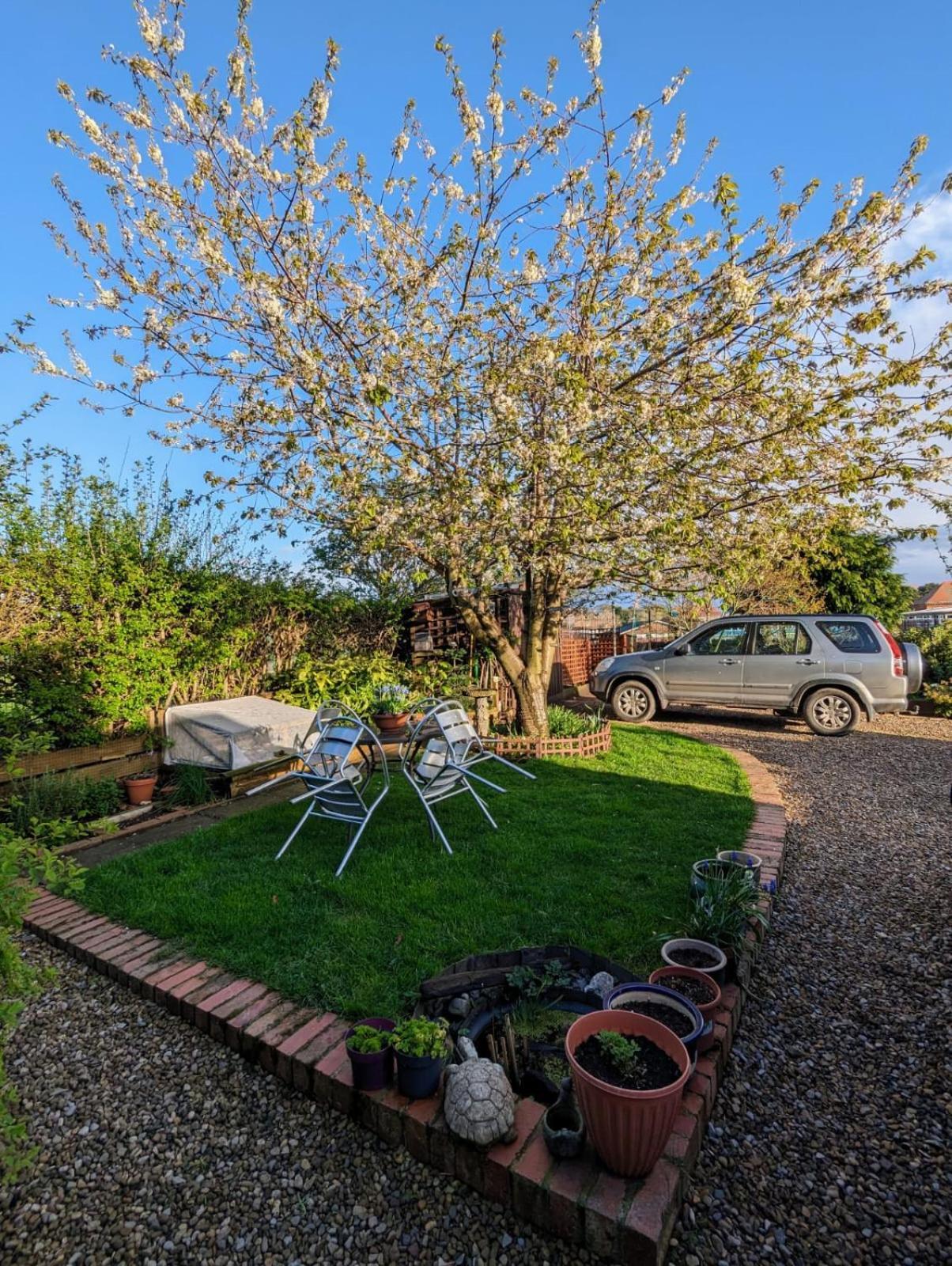 Number 18 Bed & Breakfast Whitby Luaran gambar